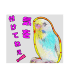 インコのあずきとセナのなかよしスタンプ‼（個別スタンプ：39）