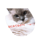 みんなのタマちゃん（個別スタンプ：7）