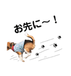 ビーグル犬´꒳`ฅTONY BOY♡（個別スタンプ：7）