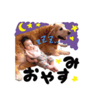 さくちゃんSTAMP01（個別スタンプ：7）