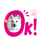 サンタとともだちスタンプ（個別スタンプ：2）