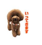 モモワンワン（個別スタンプ：4）