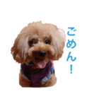 モモワンワン（個別スタンプ：13）