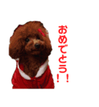 モモワンワン（個別スタンプ：15）
