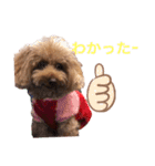 モモワンワン（個別スタンプ：16）