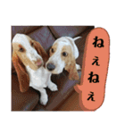 やっぱMOHALA（個別スタンプ：4）