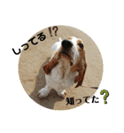 やっぱMOHALA（個別スタンプ：7）