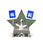 やっぱMOHALA（個別スタンプ：11）
