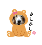 やっぱMOHALA（個別スタンプ：18）