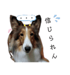 やっぱMOHALA（個別スタンプ：21）
