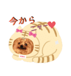 やっぱMOHALA（個別スタンプ：23）