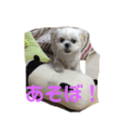 トミ子！（個別スタンプ：6）