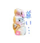 りぼんちゃんphoto stamp（個別スタンプ：8）