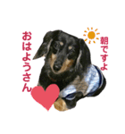 べるたんの日常 6（個別スタンプ：1）