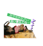 べるたんの日常 6（個別スタンプ：23）