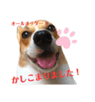 コーギーににむら 第2弾（個別スタンプ：7）