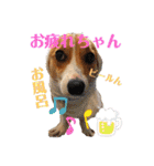 コーギーににむら 第2弾（個別スタンプ：14）