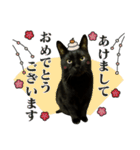 くろねこ かーすけ (写真)（個別スタンプ：21）
