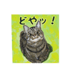 鬼辰カケルのニャンコスタンプ（個別スタンプ：11）