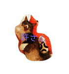 うちのにゃんこたち 2歳になりました（個別スタンプ：11）