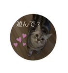 リオ スタンプ①（個別スタンプ：4）