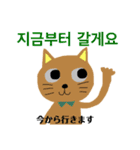 毎日楽しいニャンコ★丁寧な韓国語3（個別スタンプ：13）