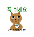 毎日楽しいニャンコ★丁寧な韓国語3（個別スタンプ：31）