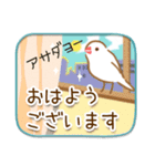 文鳥病院＊入院編（個別スタンプ：1）