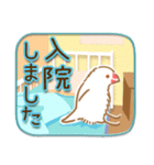 文鳥病院＊入院編（個別スタンプ：8）