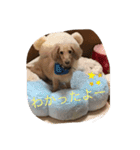 アウディの日常②（個別スタンプ：1）