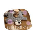 アウディの日常②（個別スタンプ：8）