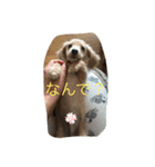 アウディの日常②（個別スタンプ：11）