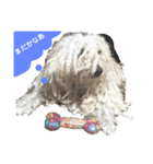 プーリー犬♩レゴ@（個別スタンプ：2）