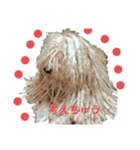 プーリー犬♩レゴ@（個別スタンプ：7）
