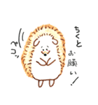 土佐弁なハリネズミ（個別スタンプ：16）