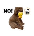 シュナとプーすた。（個別スタンプ：14）