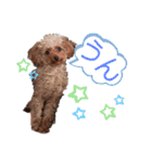 ヒデトシ（個別スタンプ：11）