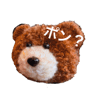 ポンポンくまちゃん（個別スタンプ：1）