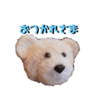 ポンポンくまちゃん（個別スタンプ：3）