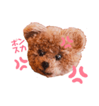 ポンポンくまちゃん（個別スタンプ：5）