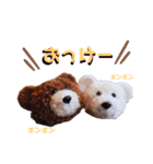 ポンポンくまちゃん（個別スタンプ：6）
