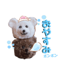 ポンポンくまちゃん（個別スタンプ：8）