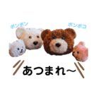 ポンポンくまちゃん（個別スタンプ：10）