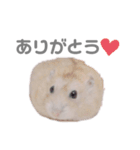 よねはむちゃんず 5（個別スタンプ：2）