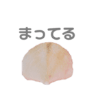 よねはむちゃんず 5（個別スタンプ：4）