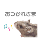 よねはむちゃんず 5（個別スタンプ：5）