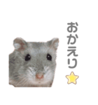 よねはむちゃんず 5（個別スタンプ：10）