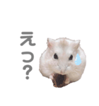 よねはむちゃんず 5（個別スタンプ：12）