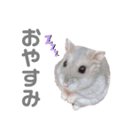 よねはむちゃんず 5（個別スタンプ：15）