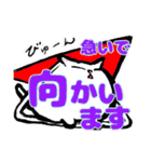 毎日使える白にゃんこ（個別スタンプ：15）